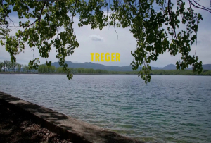 Prikazan dokumentarni film „Treger“: Promovisanje važnosti inkluzije