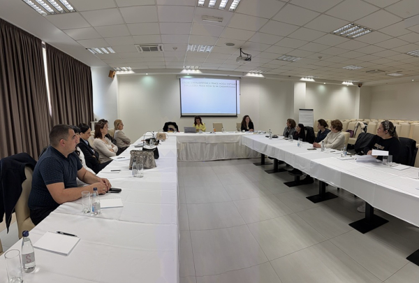 UMHCG: BEZ ZNANJA NEMA ZA&Scaron;TITE &ndash; STRUČNI KAPACITETI KLJUČNI ZA ZA&Scaron;TITU ŽENA S INVALIDITETOM OD NASILJA